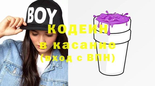PSILOCYBIN Рославль