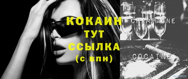 PSILOCYBIN Рославль