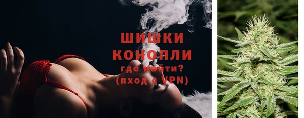 PSILOCYBIN Рославль