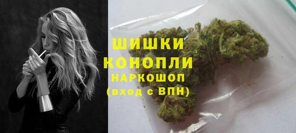 PSILOCYBIN Рославль