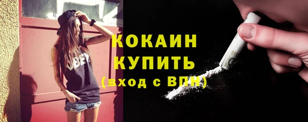 PSILOCYBIN Рославль