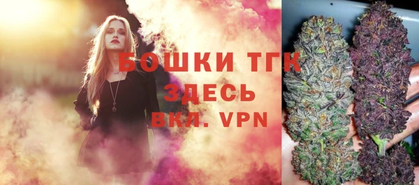 PSILOCYBIN Рославль